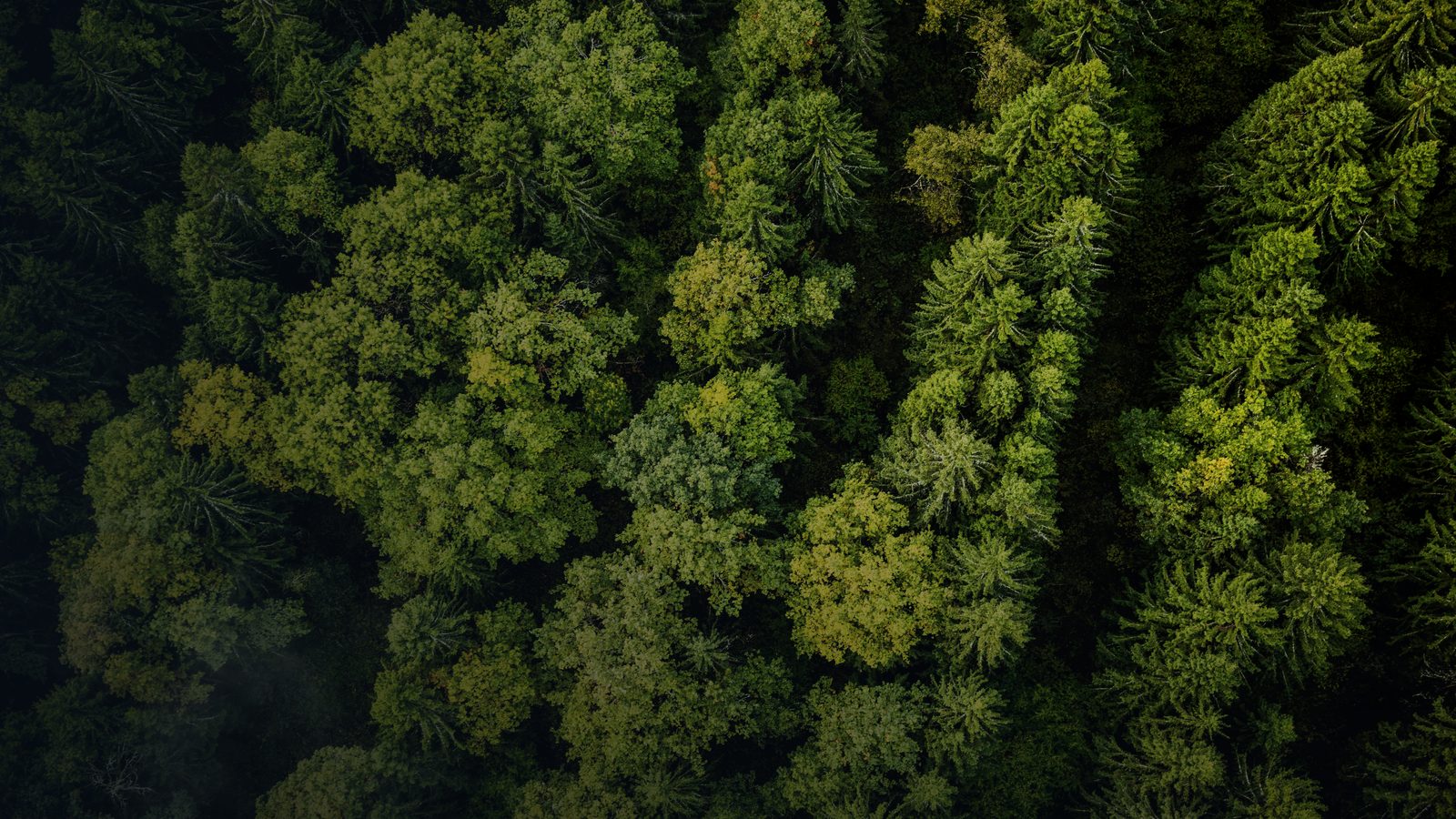 A printed Carbon Reduction Plan document